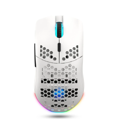 Souris Sans fil Gamer HXSJ T66 RGB / Blanc