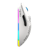 Souris Sans fil Gamer HXSJ T66 RGB / Blanc