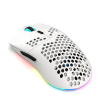 Souris Sans fil Gamer HXSJ T66 RGB / Blanc