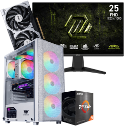 Setup Gamer Special Pc de Bureau Gaming / Ryzen 5 5500 / RTX 5060 8G / 16 Go Avec Écran Gaming MSI 24.5" Full HD IPS / 240 Hz