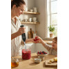 Mixeur Plongeant KIWI 500W / BLACK