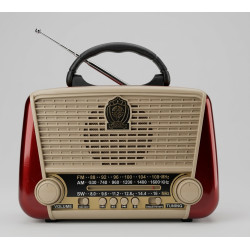 Radio FM/BT Raiseng R-3166BT