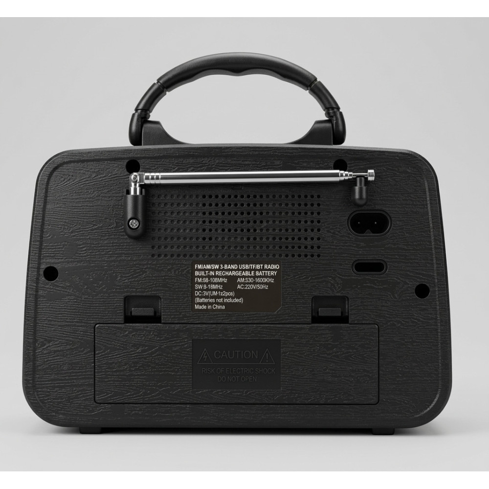 Radio FM/BT Raiseng R-3166BT