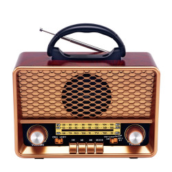 Radio FM/BT Raiseng R-7188BT