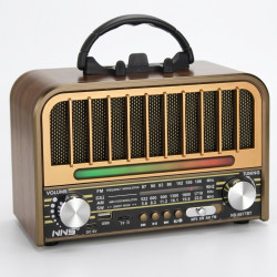 Radio FM/BT Raiseng NS-6677BT