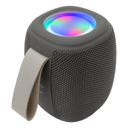 Haut Parleur White Shark GBT-888 / Gris