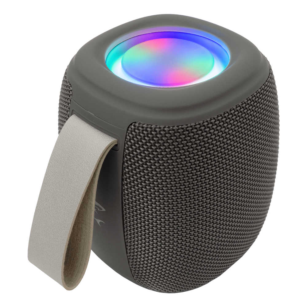 Haut Parleur White Shark GBT-888 / Gris