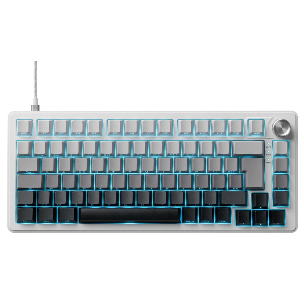 Clavier gaming FILAIRE MAGNETIQUE KEYZ ELITE 300 HE TKL Gravure Latérale / Blanc