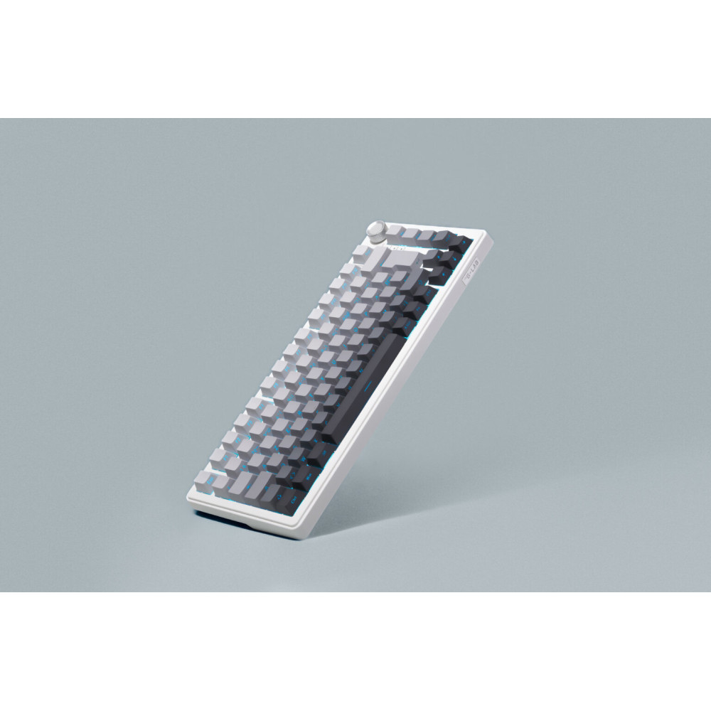 Clavier gaming FILAIRE MAGNETIQUE KEYZ ELITE 300 HE TKL Gravure Latérale / Blanc