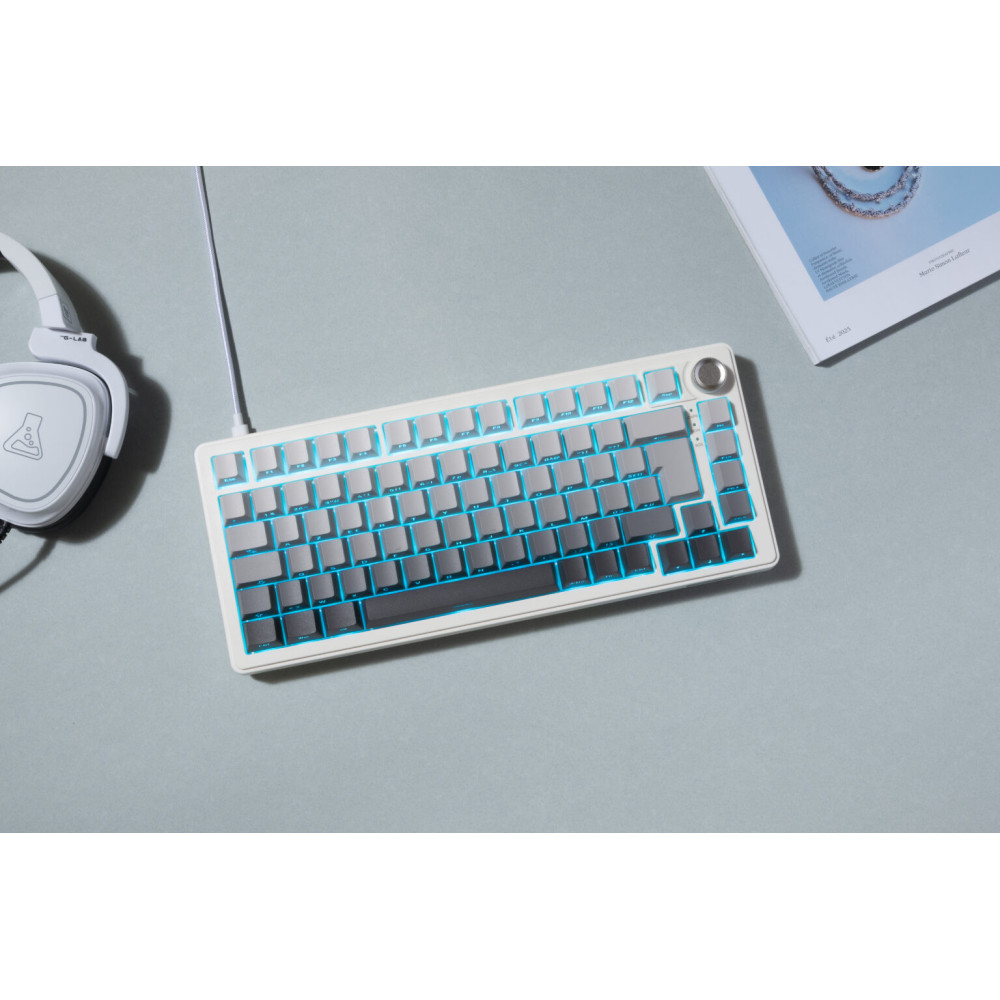 Clavier gaming FILAIRE MAGNETIQUE KEYZ ELITE 300 HE TKL Gravure Latérale / Blanc