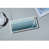 Clavier gaming FILAIRE MAGNETIQUE KEYZ ELITE 300 HE TKL Gravure Latérale / Blanc