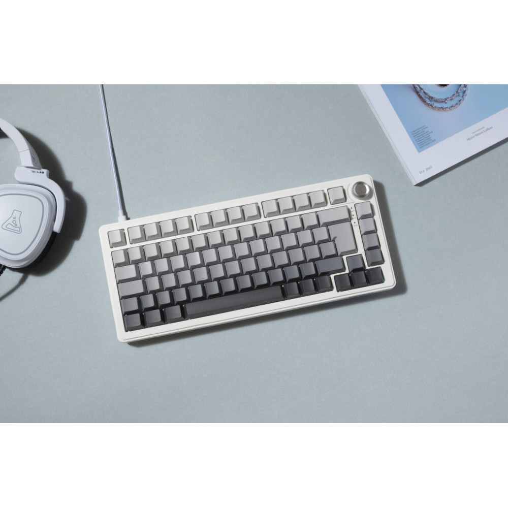 Clavier gaming FILAIRE MAGNETIQUE KEYZ ELITE 300 HE TKL Gravure Latérale / Blanc