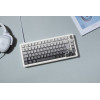 Clavier gaming FILAIRE MAGNETIQUE KEYZ ELITE 300 HE TKL Gravure Latérale / Blanc