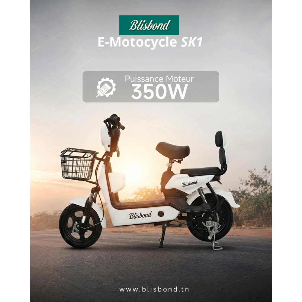 Scooter Electrique BLISBOND 350W / Noir