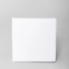 LED Panel SMD 24W Adjustable Carre Apparent TLC / 8000K / IP20 / Blanc