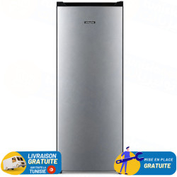 REFRIGERATEUR NEWSTAR 170 Litres DE FROST / MP2500LS / SILVER