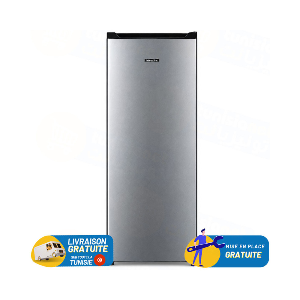 REFRIGERATEUR NEWSTAR 170 Litres DE FROST / MP2500LS / SILVER