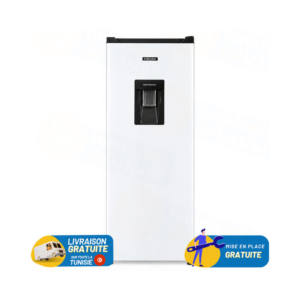 REFRIGERATEUR NEWSTAR 170 Litres DE FROST / MP2500WDX / Blanc avec Distributeur d'eau