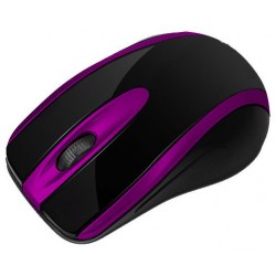 Souris Optique USB Macro M555 / Noir & Bleu