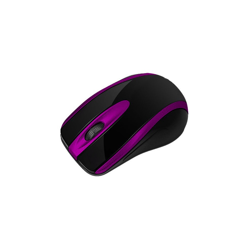Souris Optique USB Macro M555 / Noir & Bleu