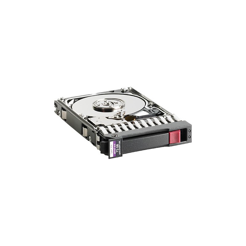 Disque Dur pour serveur Enterprise  HP 300 Go 6 Gb/s SAS