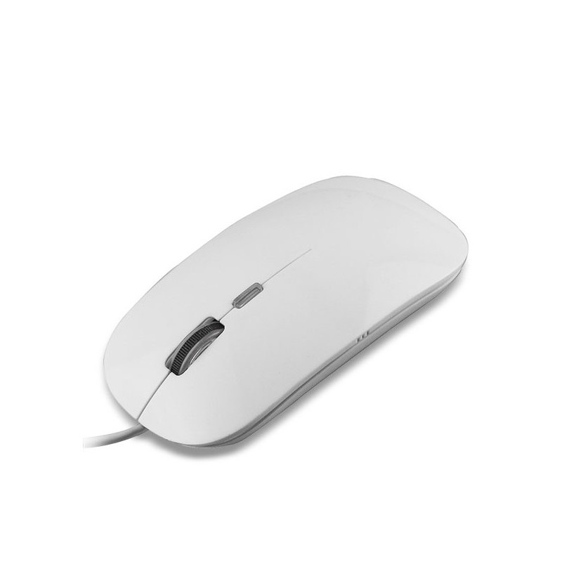 Souris optique Aneex 