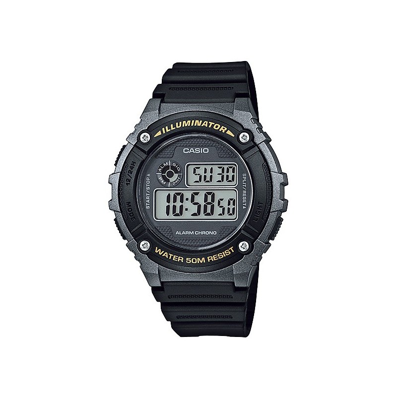 casio 216