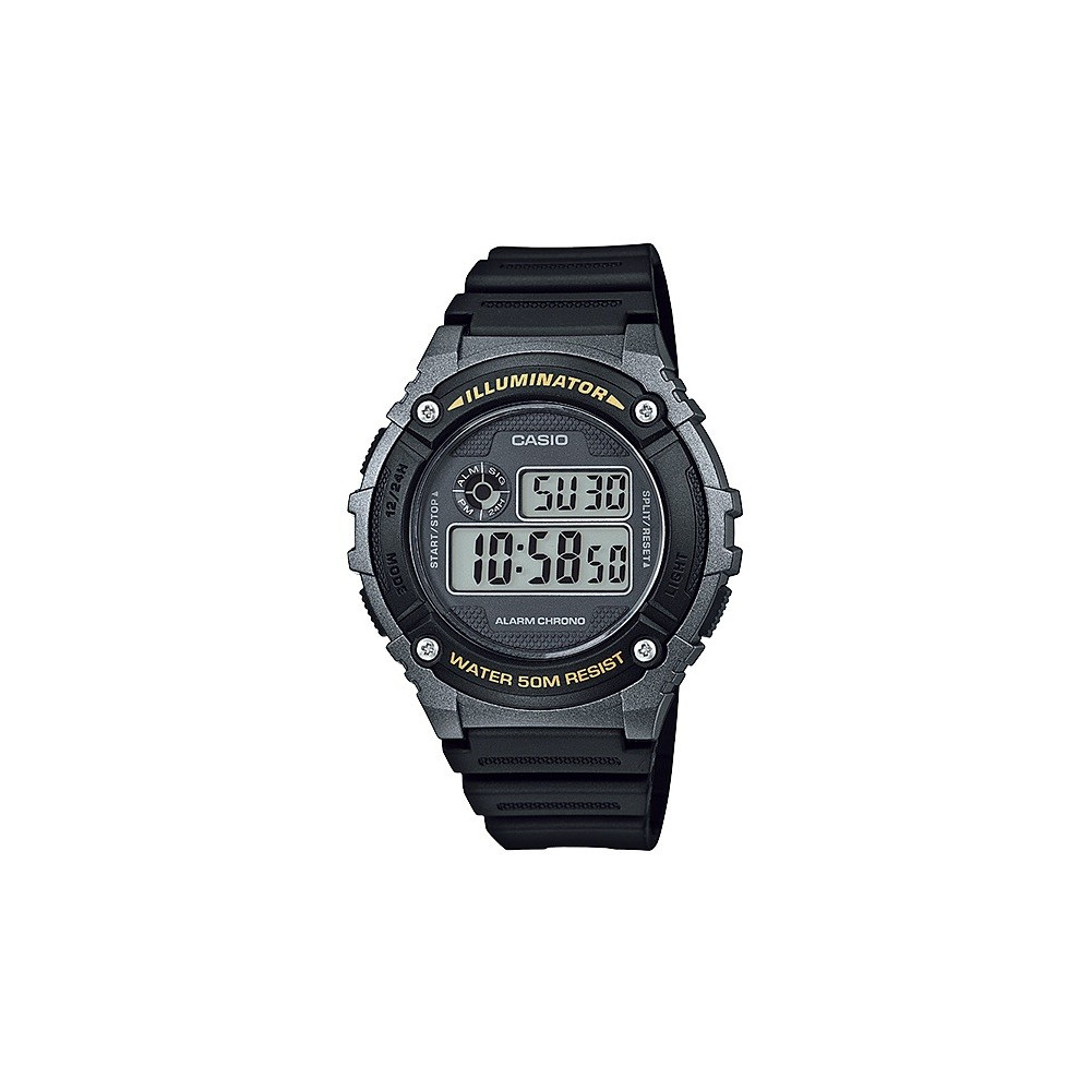 Montre Homme Casio W-216-2BV