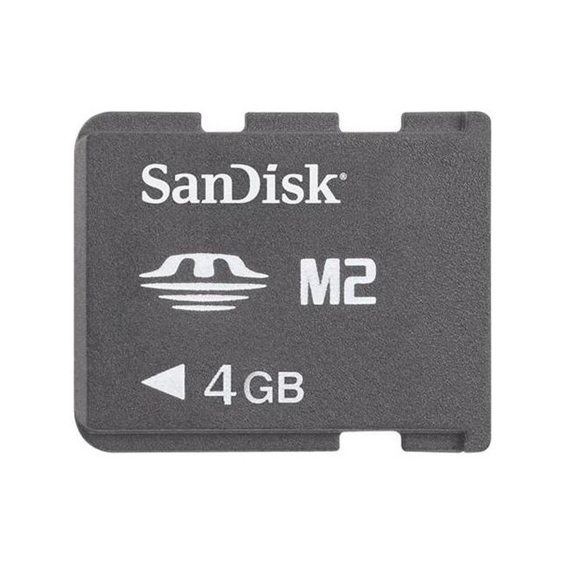 Memory Stick Micro M2 Card
