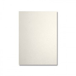 100x Papier page de garde brillant 250gr/A4