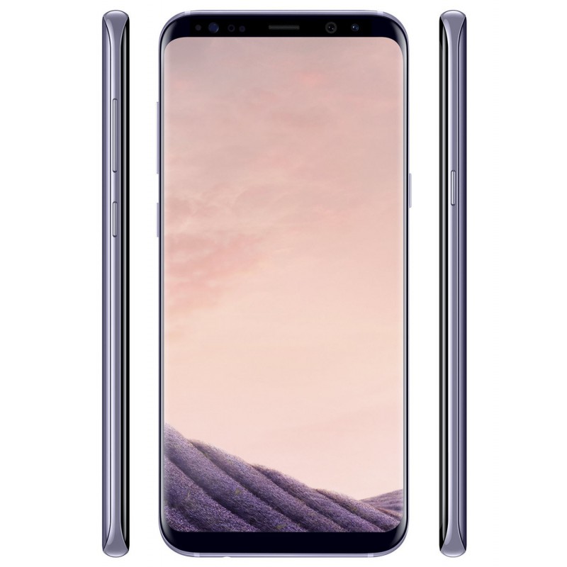 Téléphone Portable Samsung Galaxy S8 Plus / Orchidée