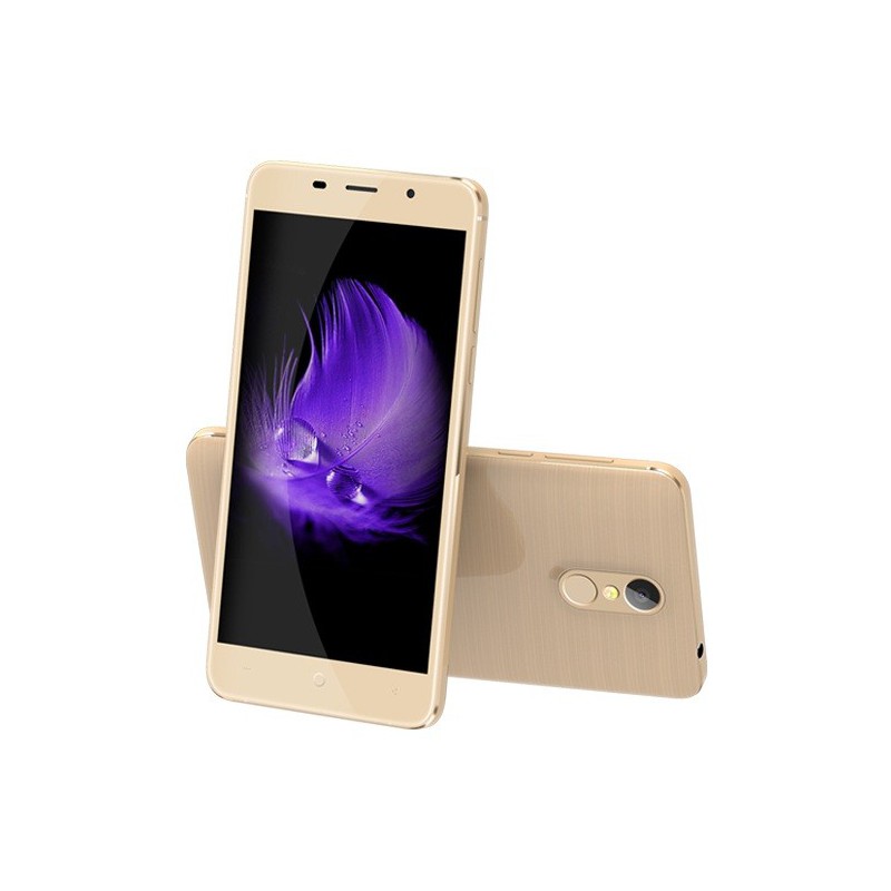 Téléphone Portable Leagoo M5 Plus / 4G / Double SIM / Gold + SIM Offerte