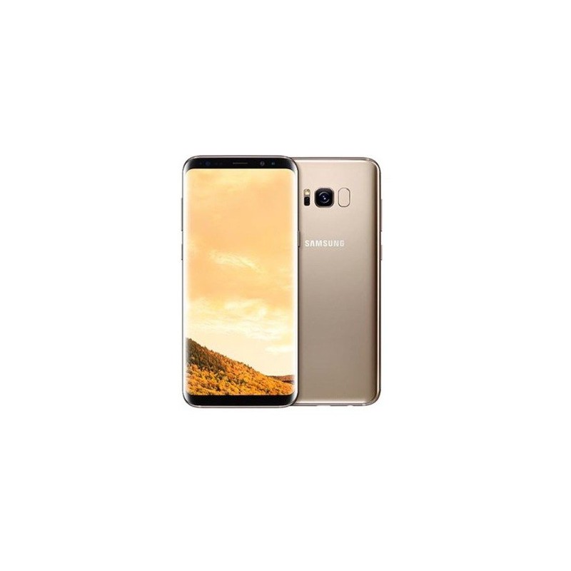 Téléphone Portable Samsung Galaxy S8 Plus / GO