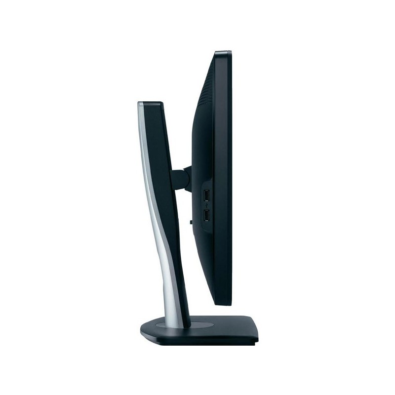 Dell P2412H 