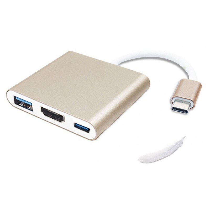 Adaptateur USB Type C vers HDMI / USB 3.0 / USB-C