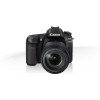 APPAREIL PHOTO REFLEX NUMERIQUE CANON EOS 80D + Objectif EF-S 18-55mm S