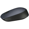Souris Sans Fil Logitech M170 / Noir