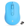 Souris Sans Fil Everest SM-300 / Bleu