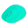 Souris Sans Fil Everest SM-300 / Vert
