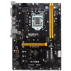 Carte mère Spécial Mining Biostar TB250-BTC