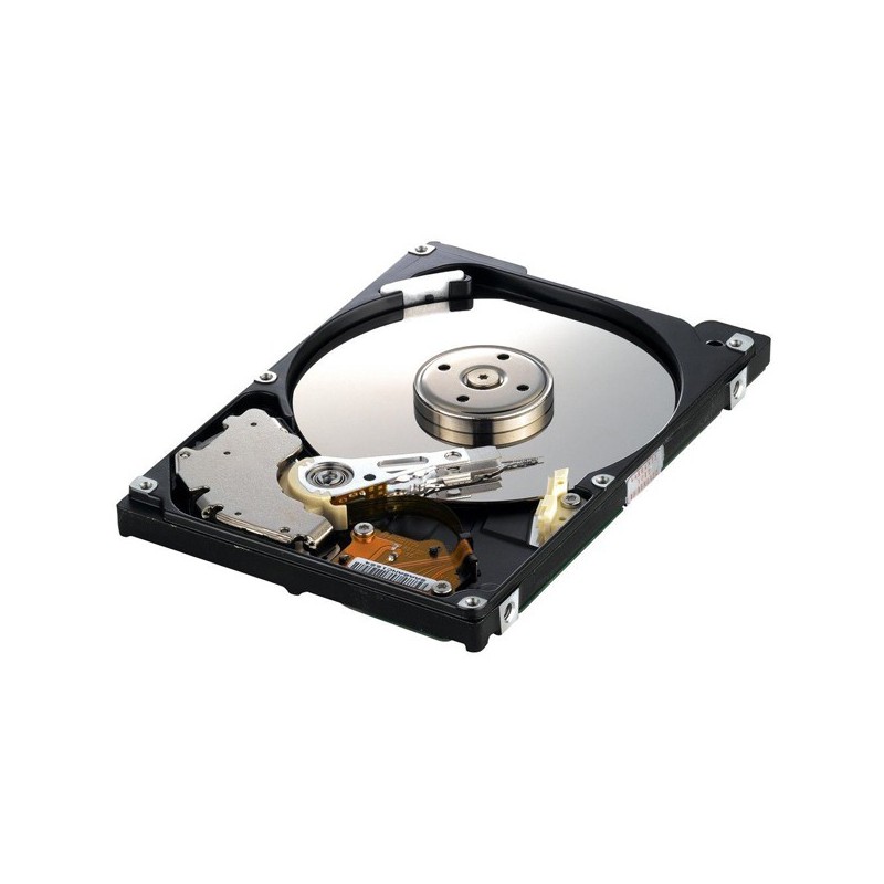 Disque Dur Interne IDE 160 Go